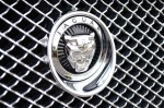 2012-jaguar-xf-supercharged-emblem
