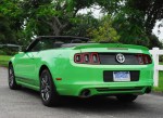 2013 Mustang Club Of America Beauty Rear Done Small