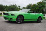 2013 Mustang Club Of America Beauty Wide Done Small