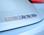 2013-lexus-es300h-hybrid-emblem