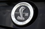 2013-ford-mustang-shelby-gt500-emblem-1
