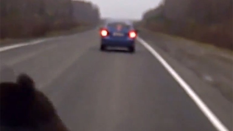 Car Strikes Bear on Highway, Bear Breakdances: Video