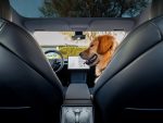 Tesla Patent Reveals Panoramic Glass Roof That Could Keep EV Cabins Dramatically Cooler