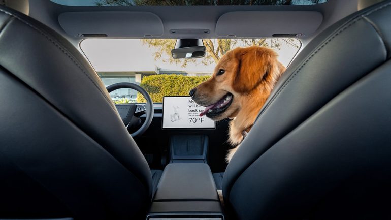 Tesla Patent Reveals Panoramic Glass Roof That Could Keep EV Cabins Dramatically Cooler