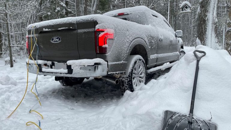 2026 ford f-150 rear